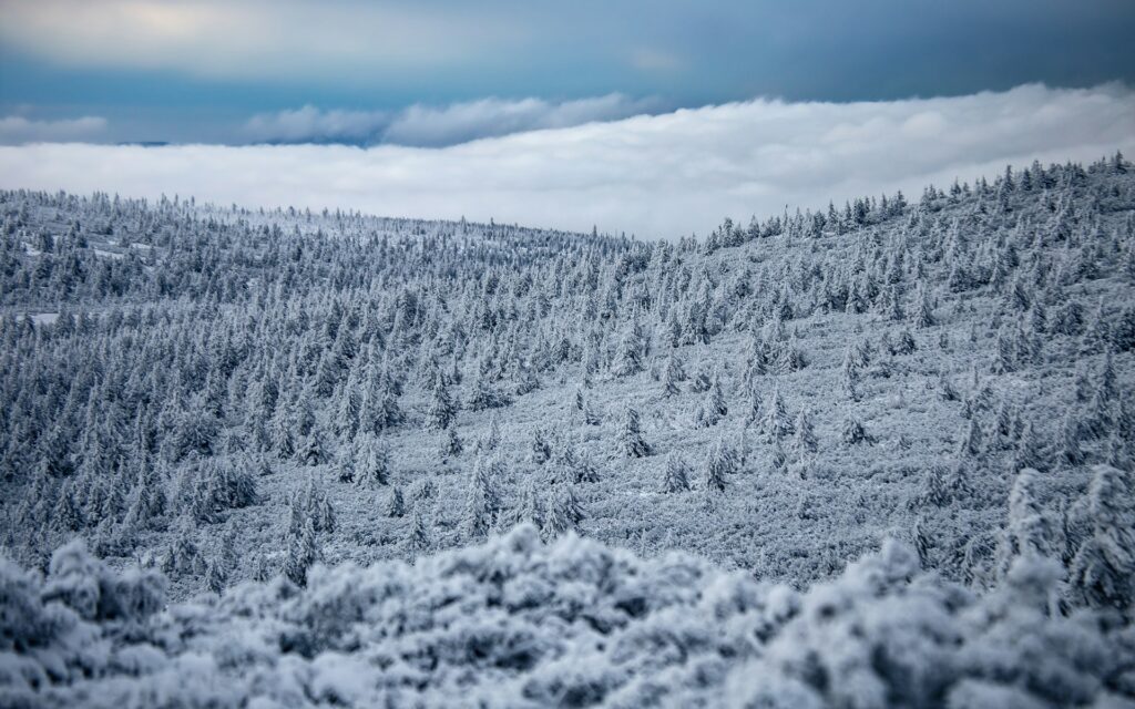 Winter im Riesengebirge